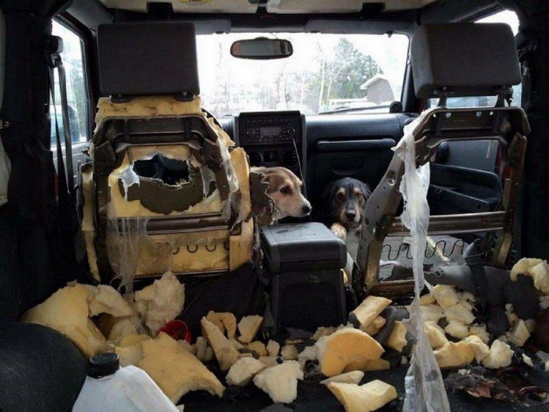 Бывают в жизни огорчения