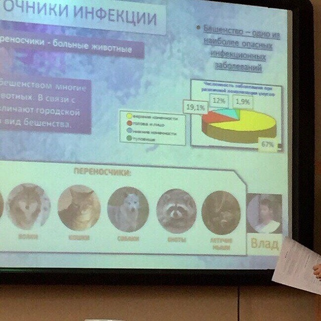 Подборка крутых и смешных слайдов со студенческих презентаций