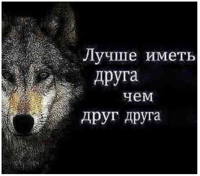 "Пацанская народная мудрость" и цитаты про волков