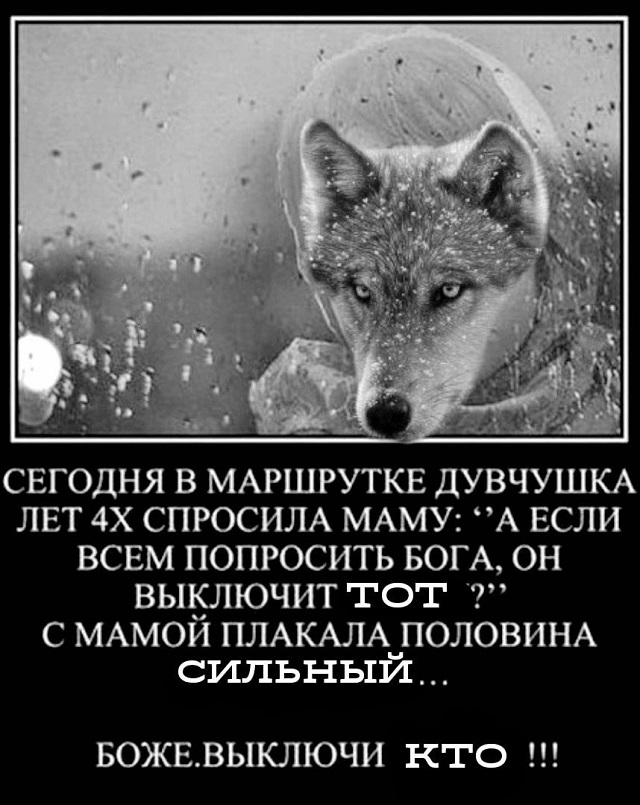 "Пацанская народная мудрость" и цитаты про волков