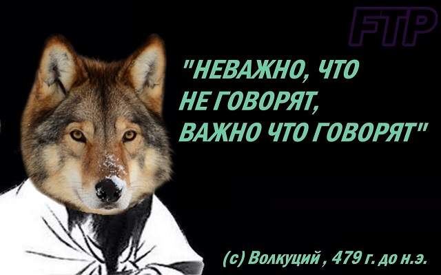 "Пацанская народная мудрость" и цитаты про волков