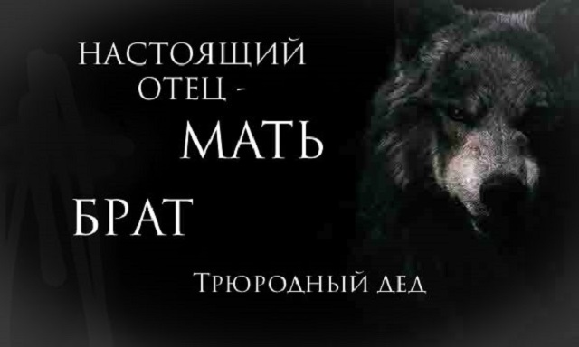 "Пацанская народная мудрость" и цитаты про волков