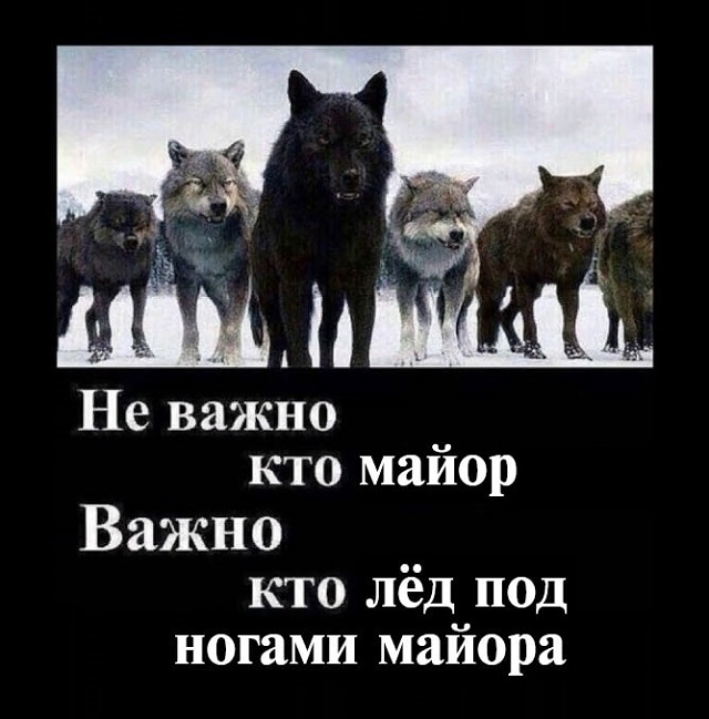 "Пацанская народная мудрость" и цитаты про волков