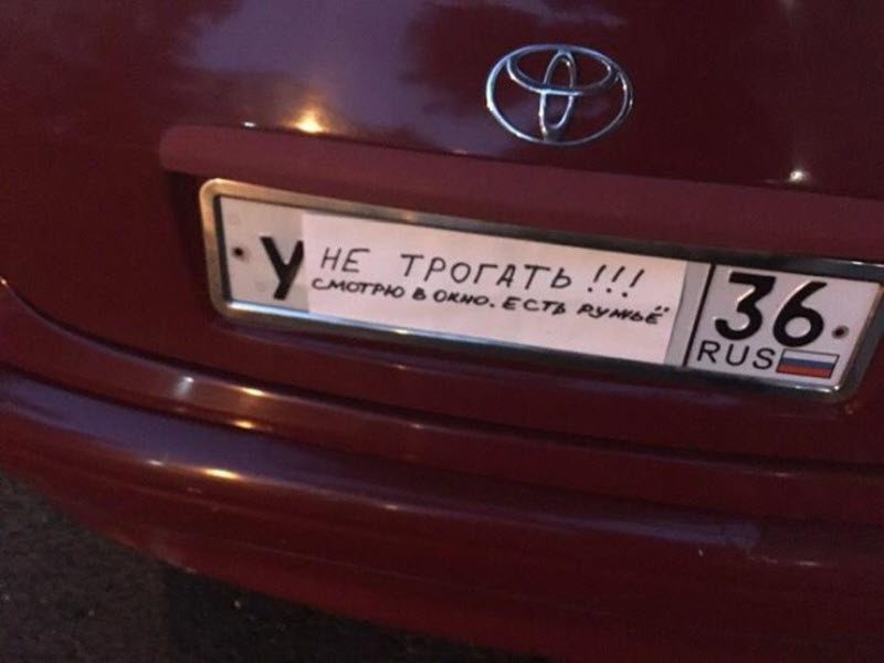Прикольные картинки