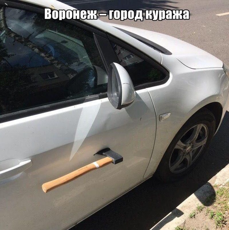 Прикольные картинки