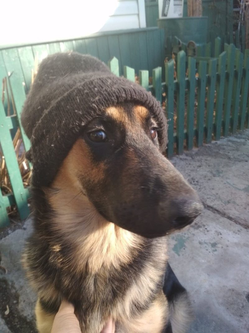 Прикольные картинки