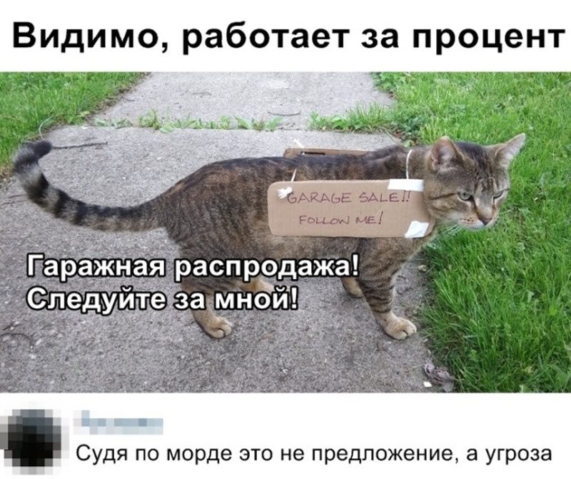 Прикольные картинки