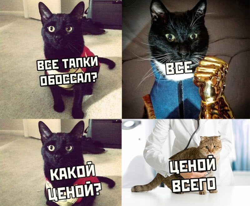 Прикольные картинки
