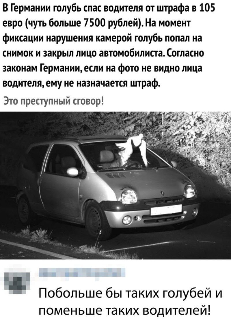 Прикольные картинки