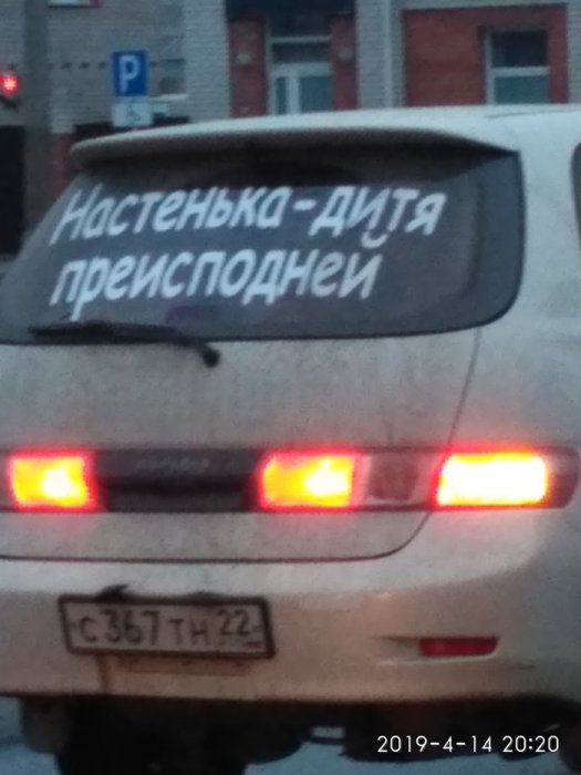 Забавные картинки