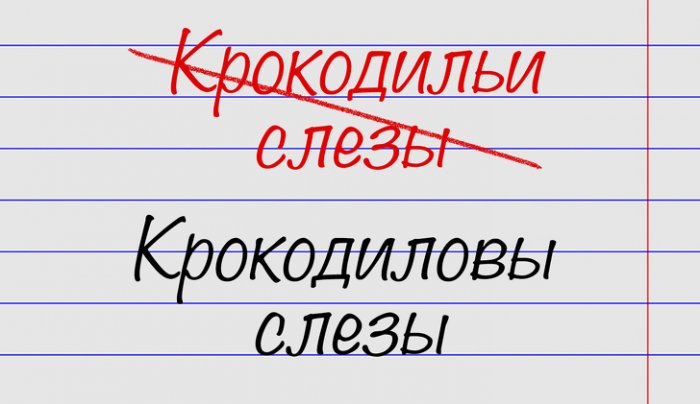 Минутка ликбеза. 15 выражений, в которых многие совершают ошибки 