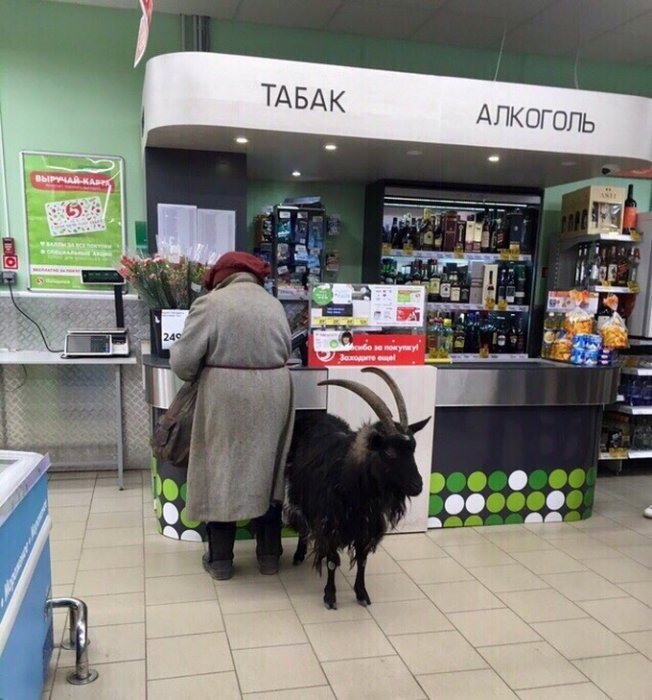 Забавные картинки
