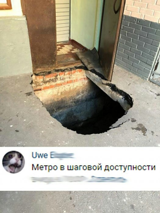Забавные картинки