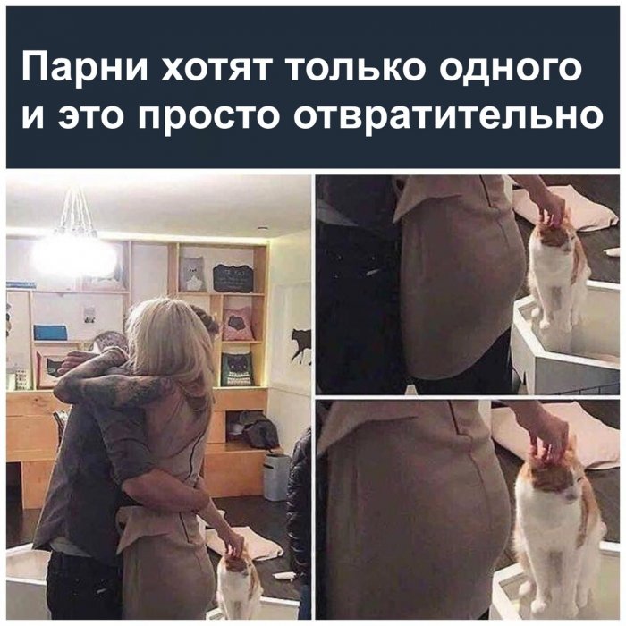 Забавные картинки