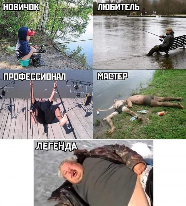 Забавные картинки