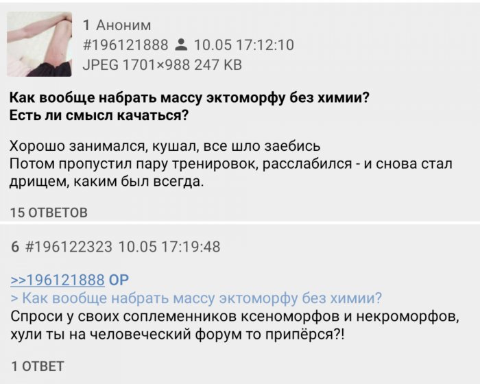 Забавные картинки