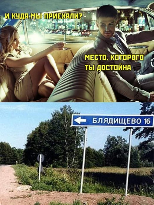 Забавные картинки