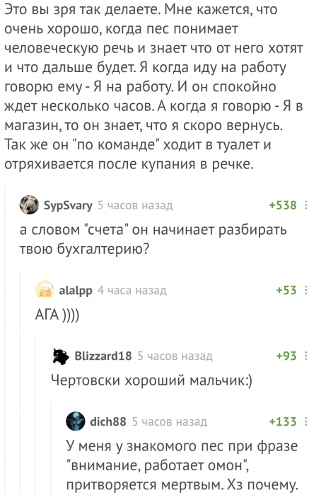 Забавные картинки