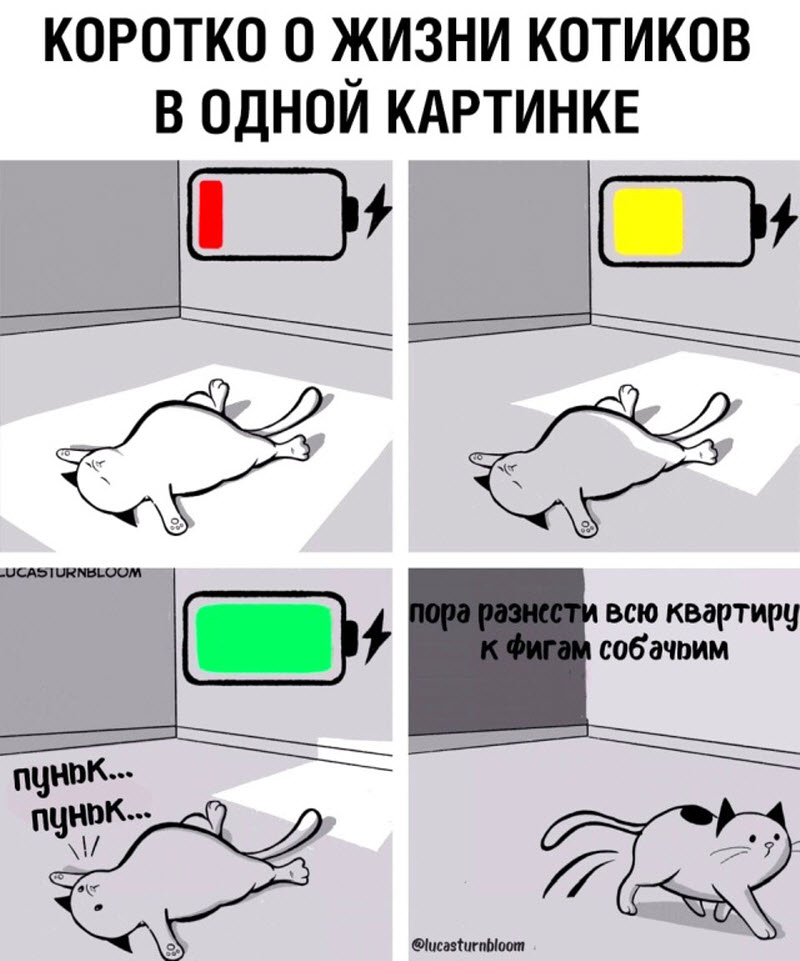 Прикольные картинки