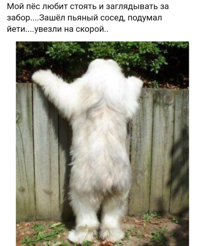 Прикольные картинки