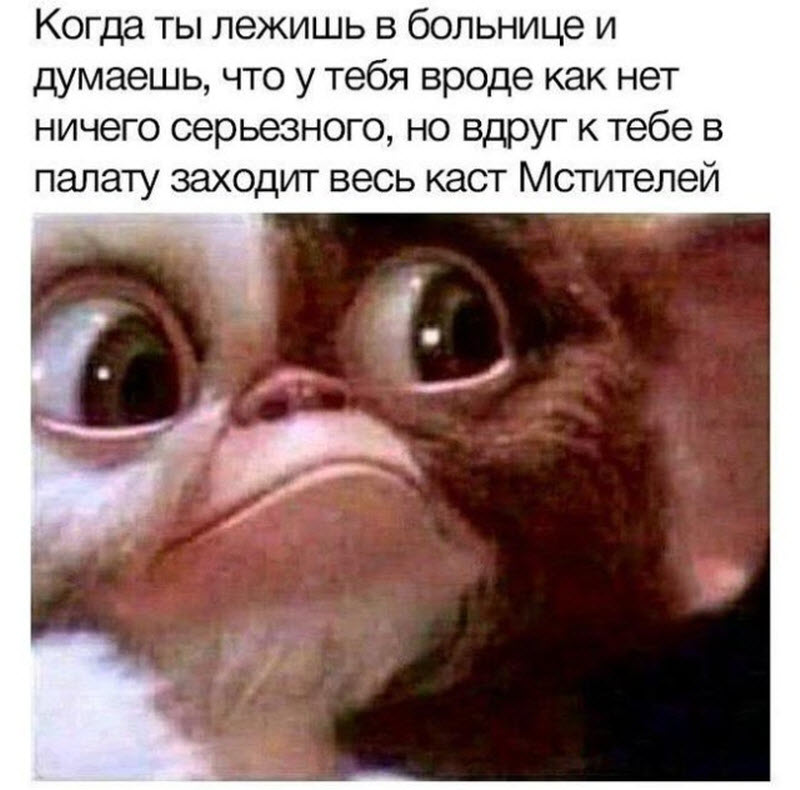 Прикольные картинки