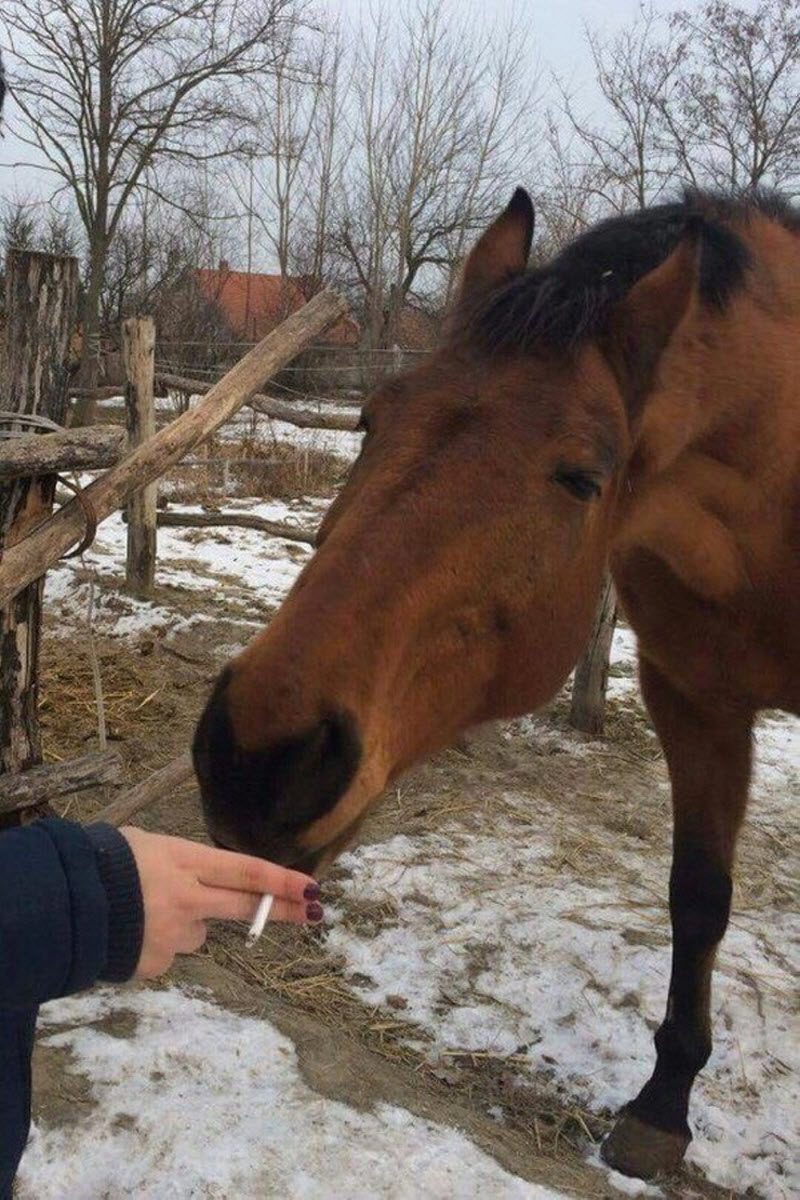 Чудики из социальных сетей
