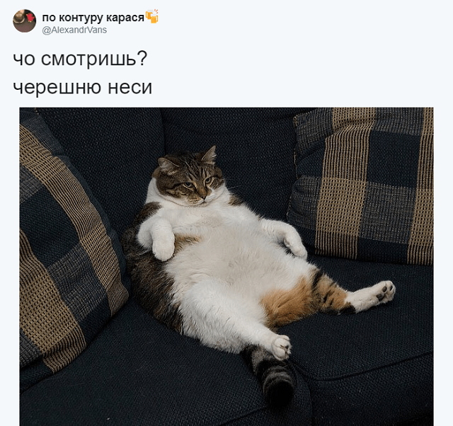 Сети покоряет новый мем: "Хочу черешню!"