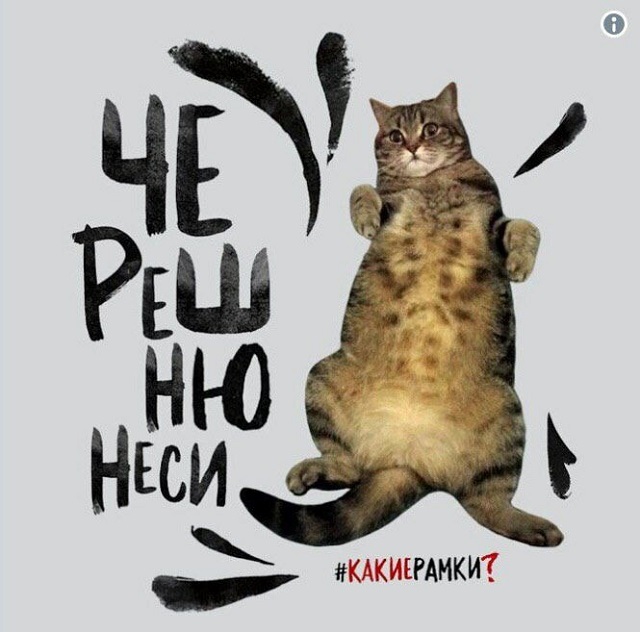 Сети покоряет новый мем: "Хочу черешню!"