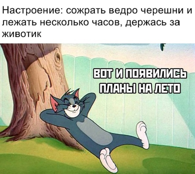 Сети покоряет новый мем: "Хочу черешню!"