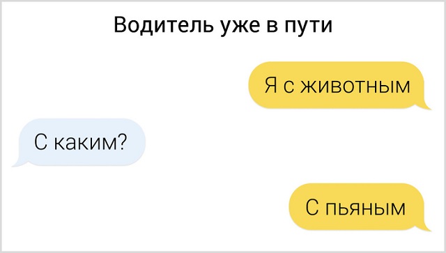 Таксисты умеют удивлять. Подборка веселых странностей из вселенной таксистов