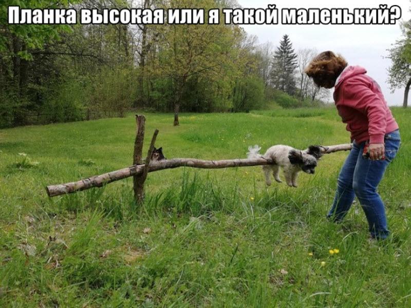 Прикольные картинки
