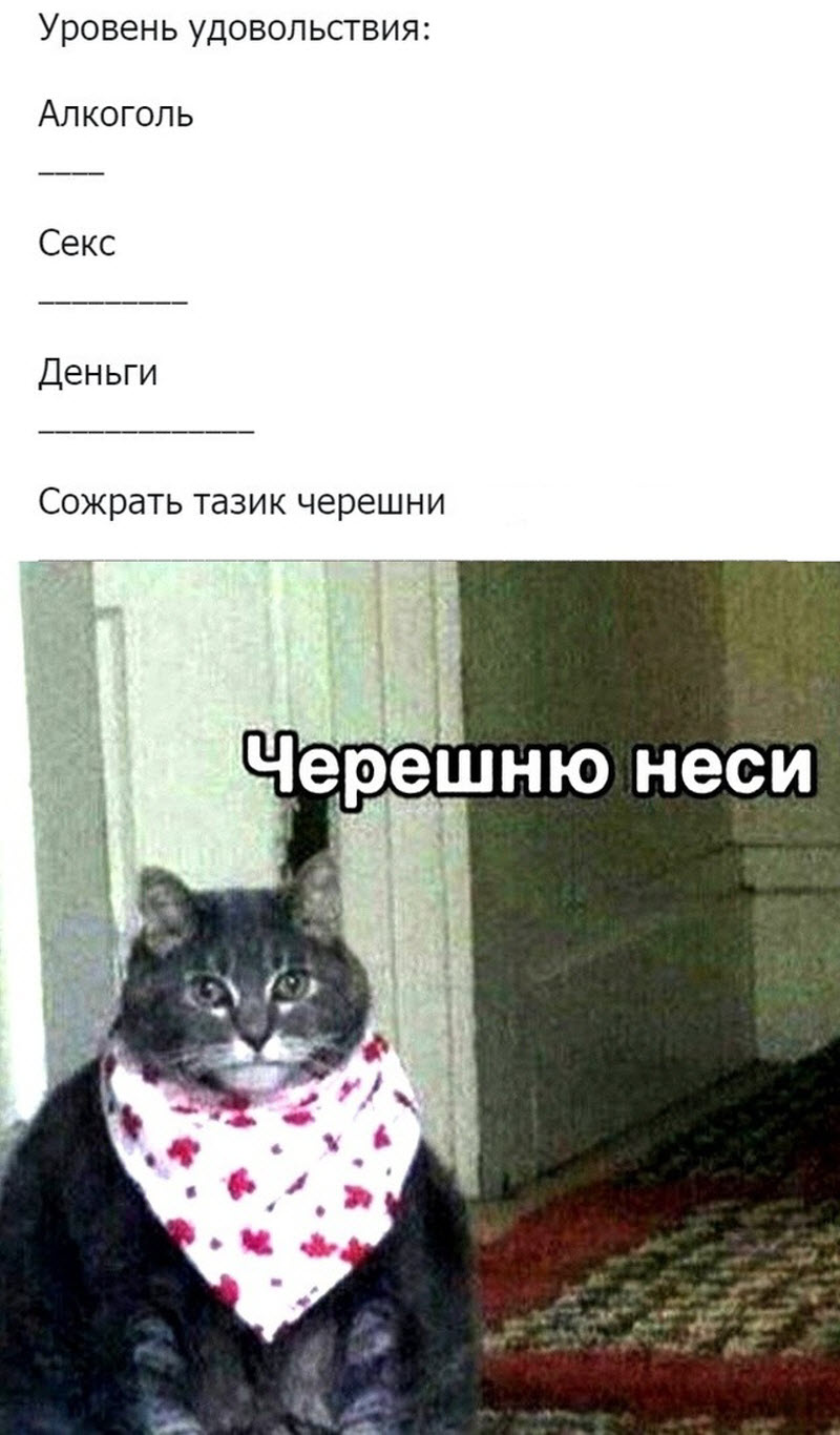Прикольные картинки