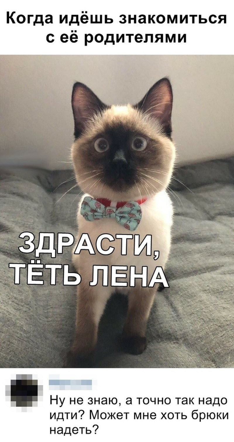 Прикольные картинки