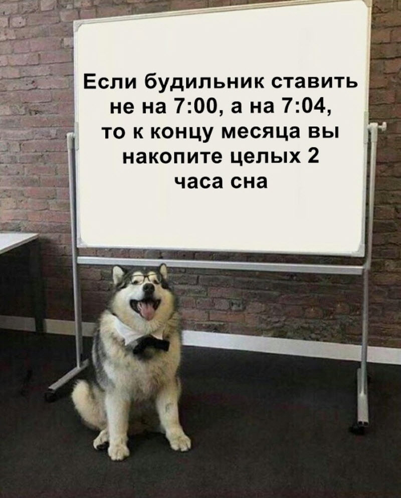 Прикольные картинки