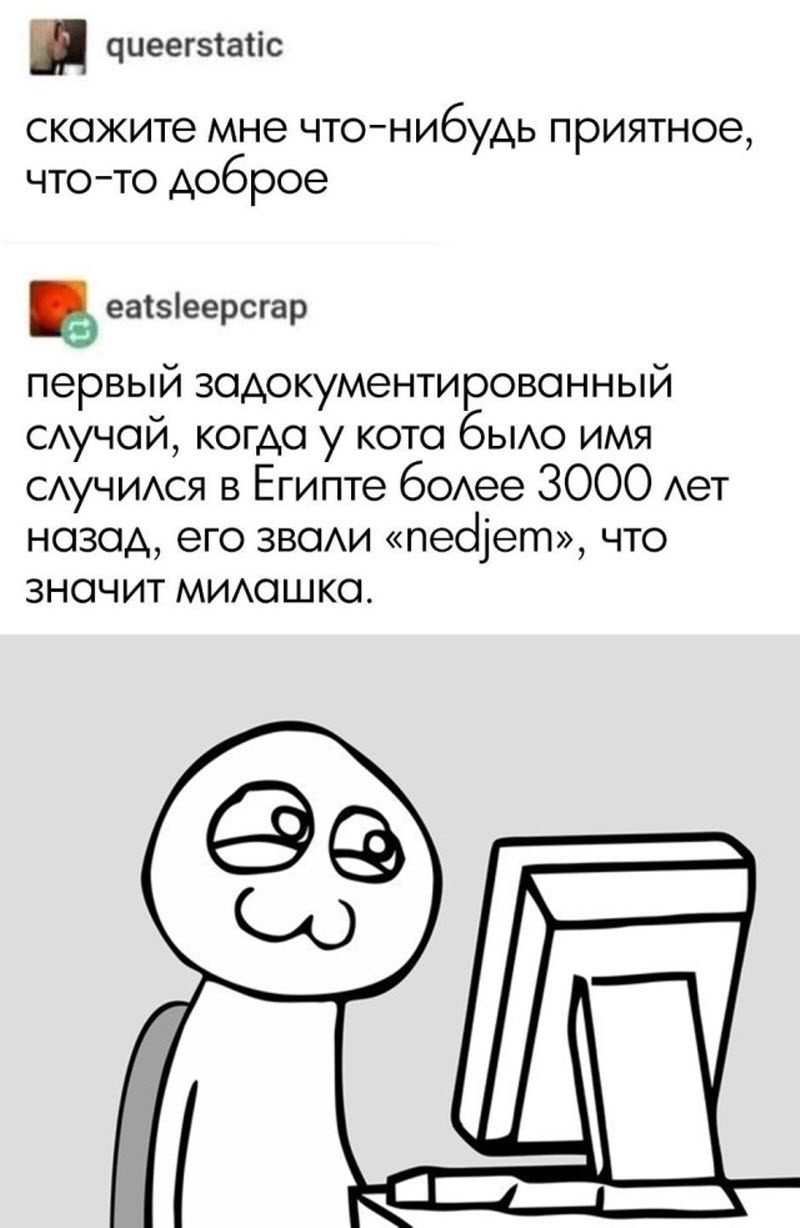 Прикольные картинки
