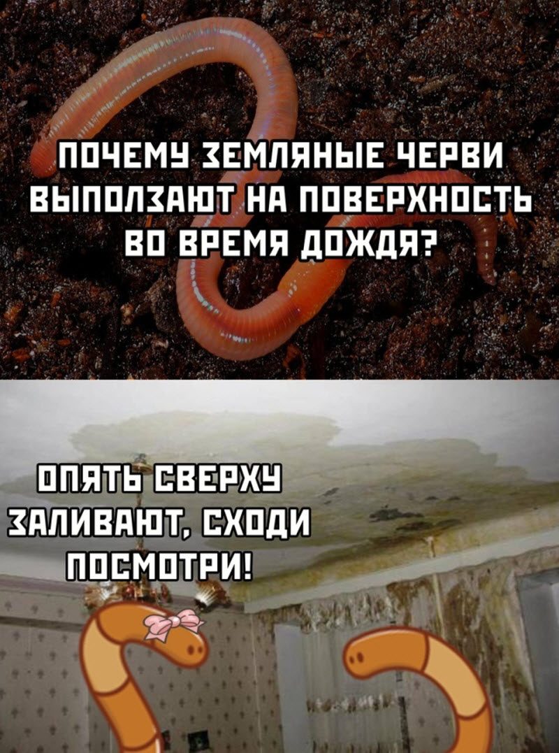 Прикольные картинки