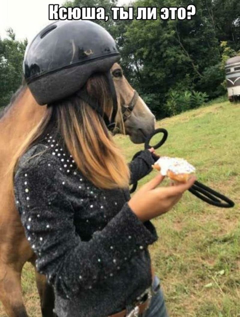 Прикольные картинки