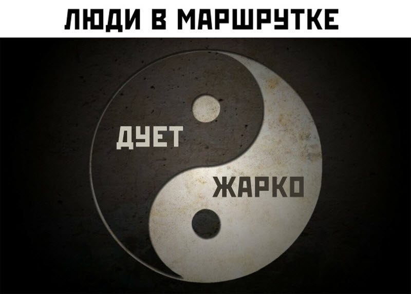 Прикольные картинки