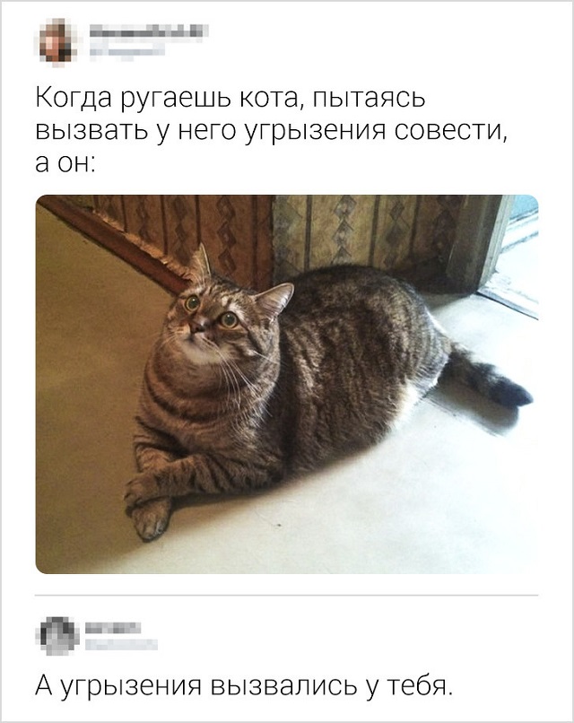 Новая порция юморесок и острот с просторов сети