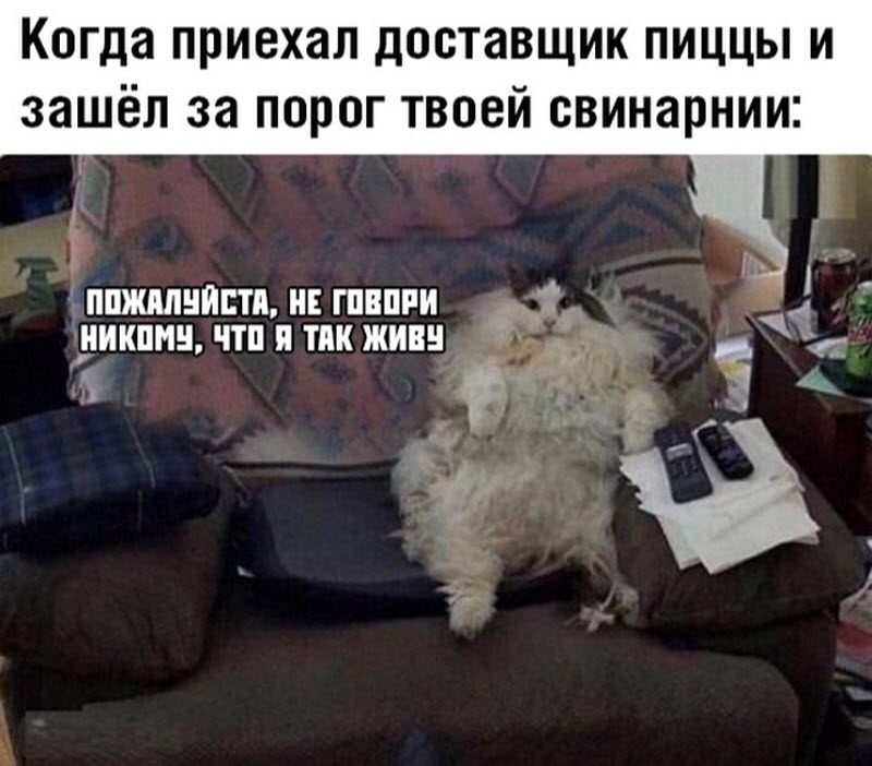 Прикольные картинки