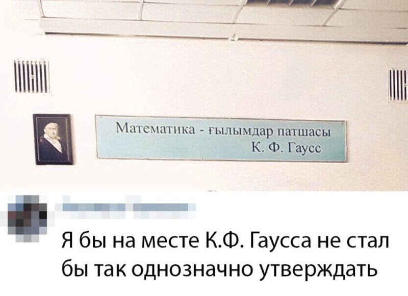 Прикольные картинки