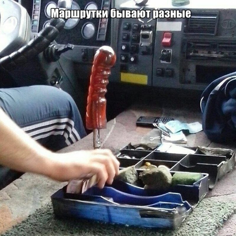 Прикольные картинки