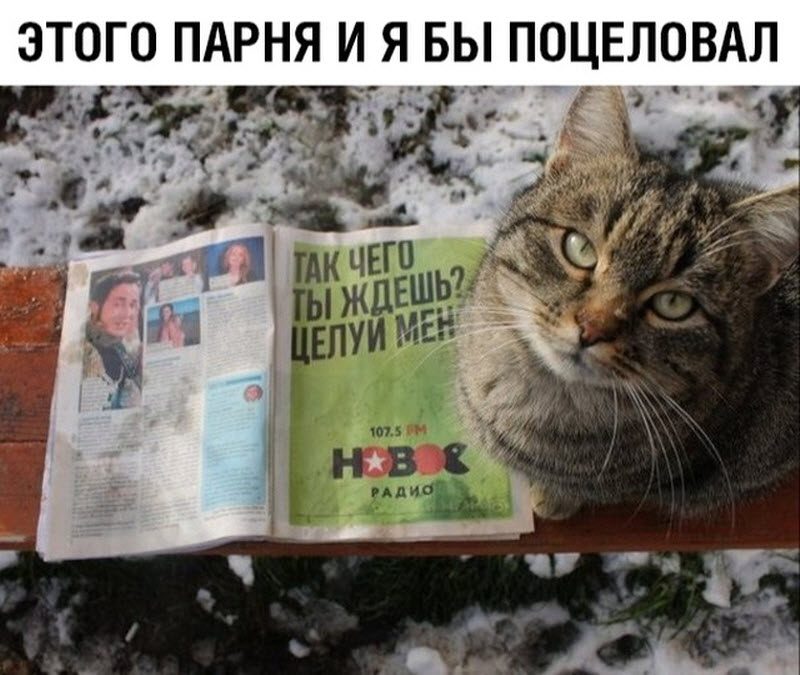 Прикольные картинки
