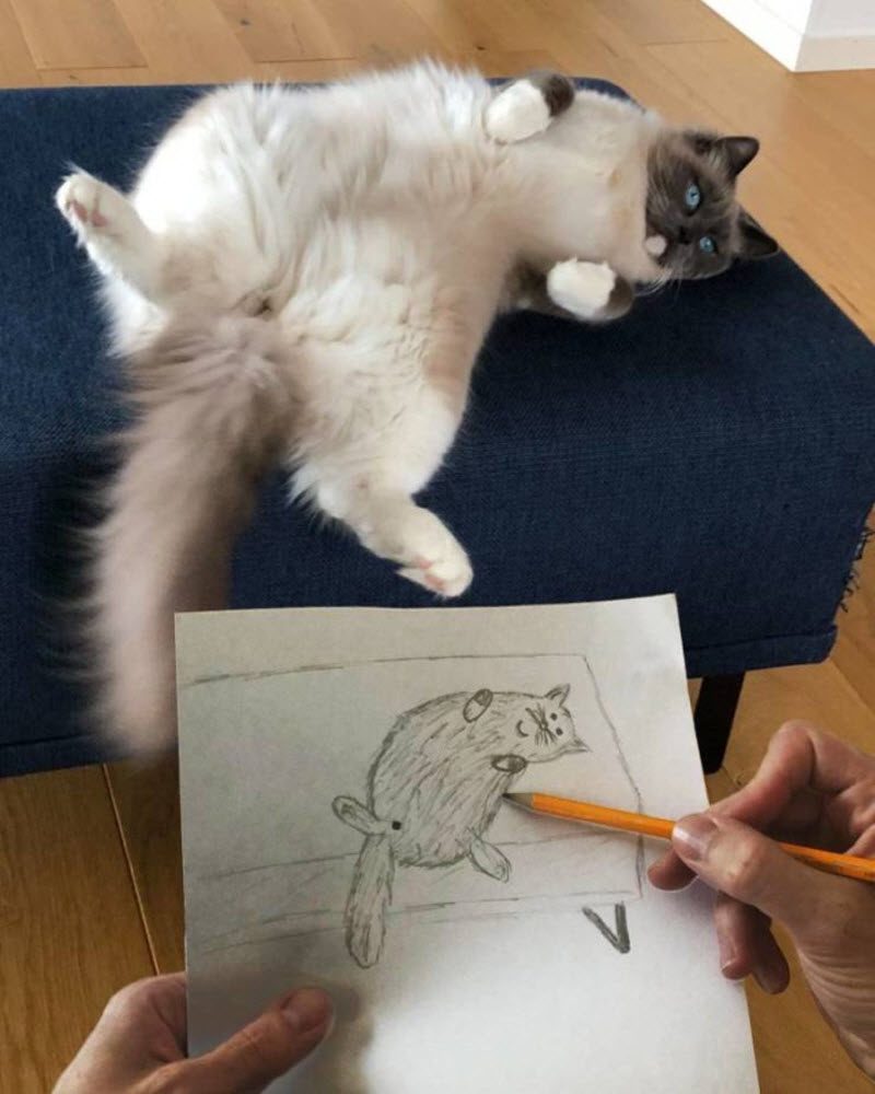 Прикольные картинки