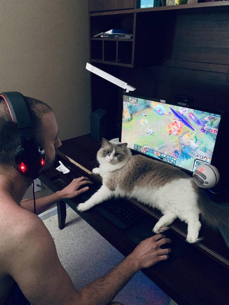 Прикольные картинки