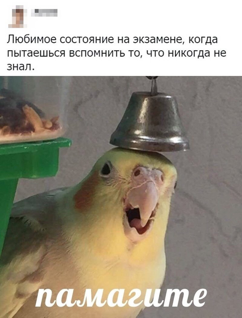 Прикольные картинки