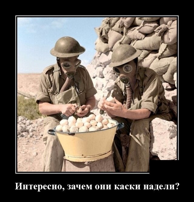 Демотиваторы
