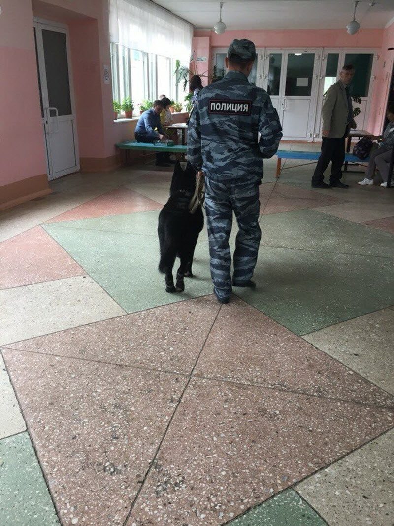 Ужасы ЕГЭ-2019: смерть, роды, слежка