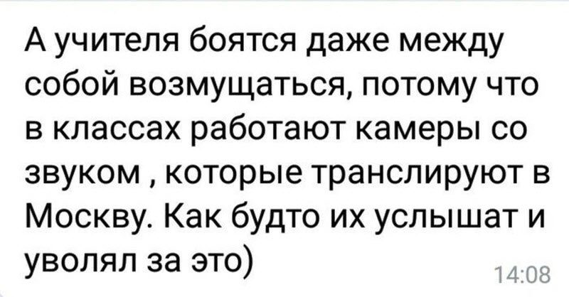 Ужасы ЕГЭ-2019: смерть, роды, слежка