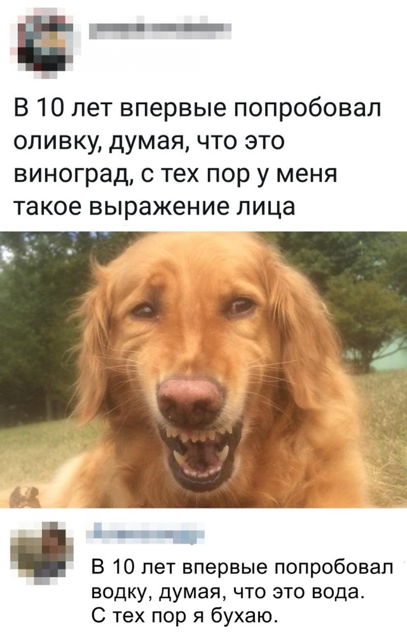 Прикольные картинки